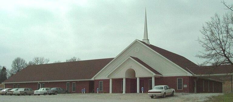 Olive Branch  2  768x339